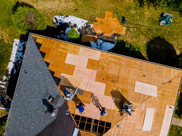 Best Roof Repair Services  in Eddyville, KY