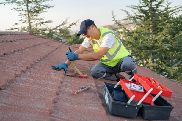 Best Gutter Installation and Roofing  in Eddyville, KY